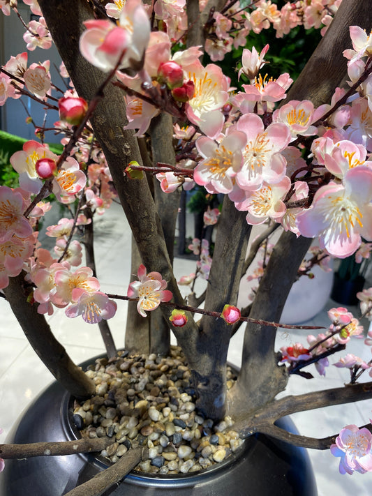 Luxury Artificial Blush~Pink Cherry Blossom Tree In Black Vase