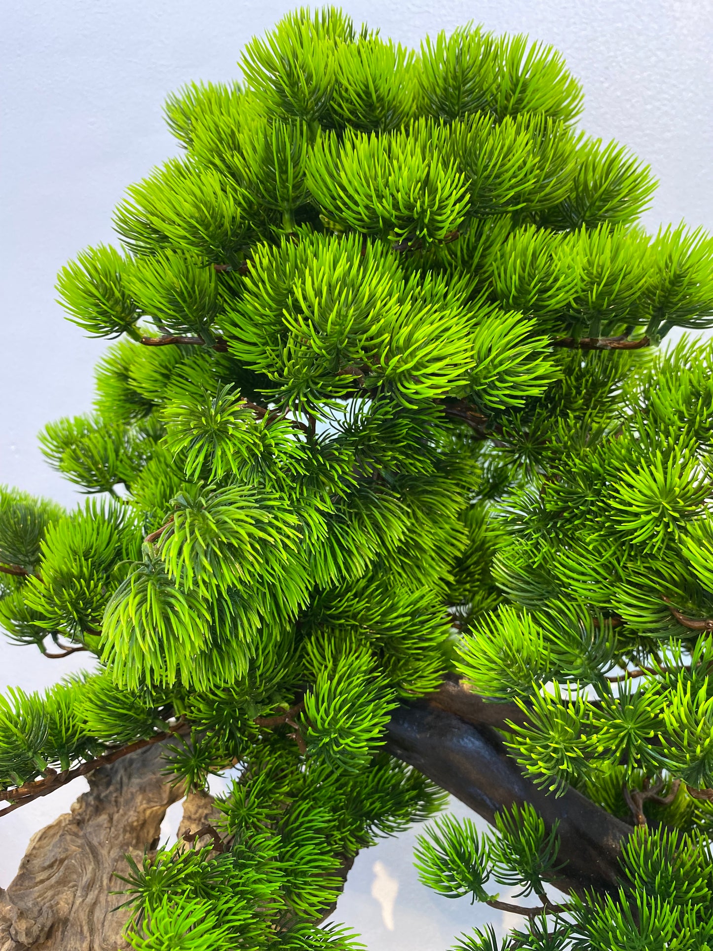 80cm Artificial Bonsai Pine Tree In Driftwood Pot