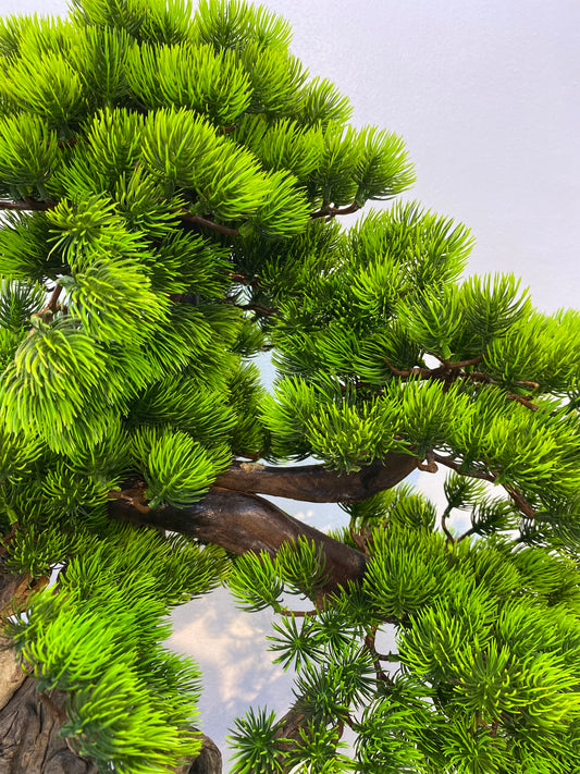 80cm Artificial Bonsai Pine Tree In Driftwood Pot