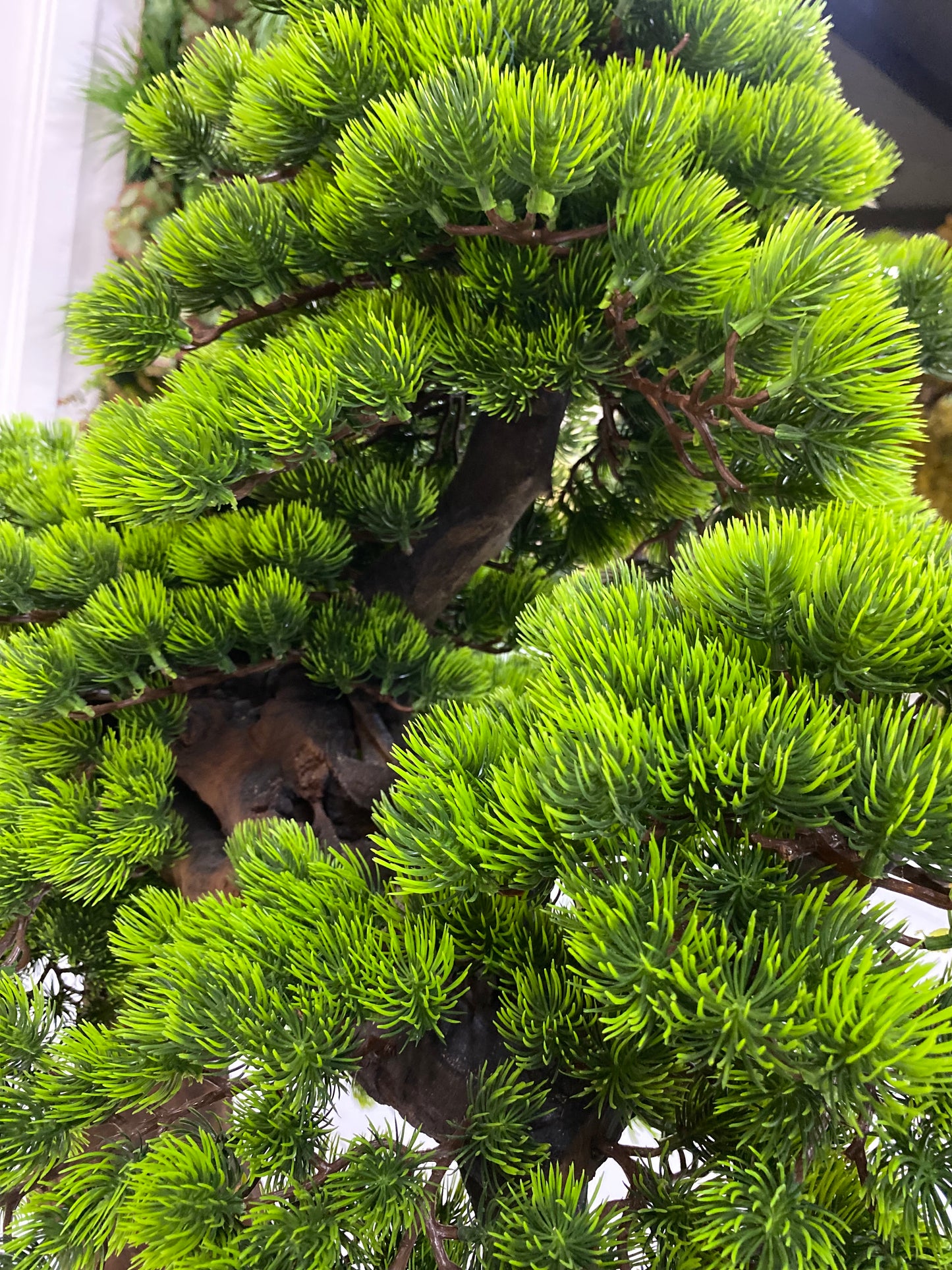 Artificial Tranquil Evergreen Bonsai Tree 130cm