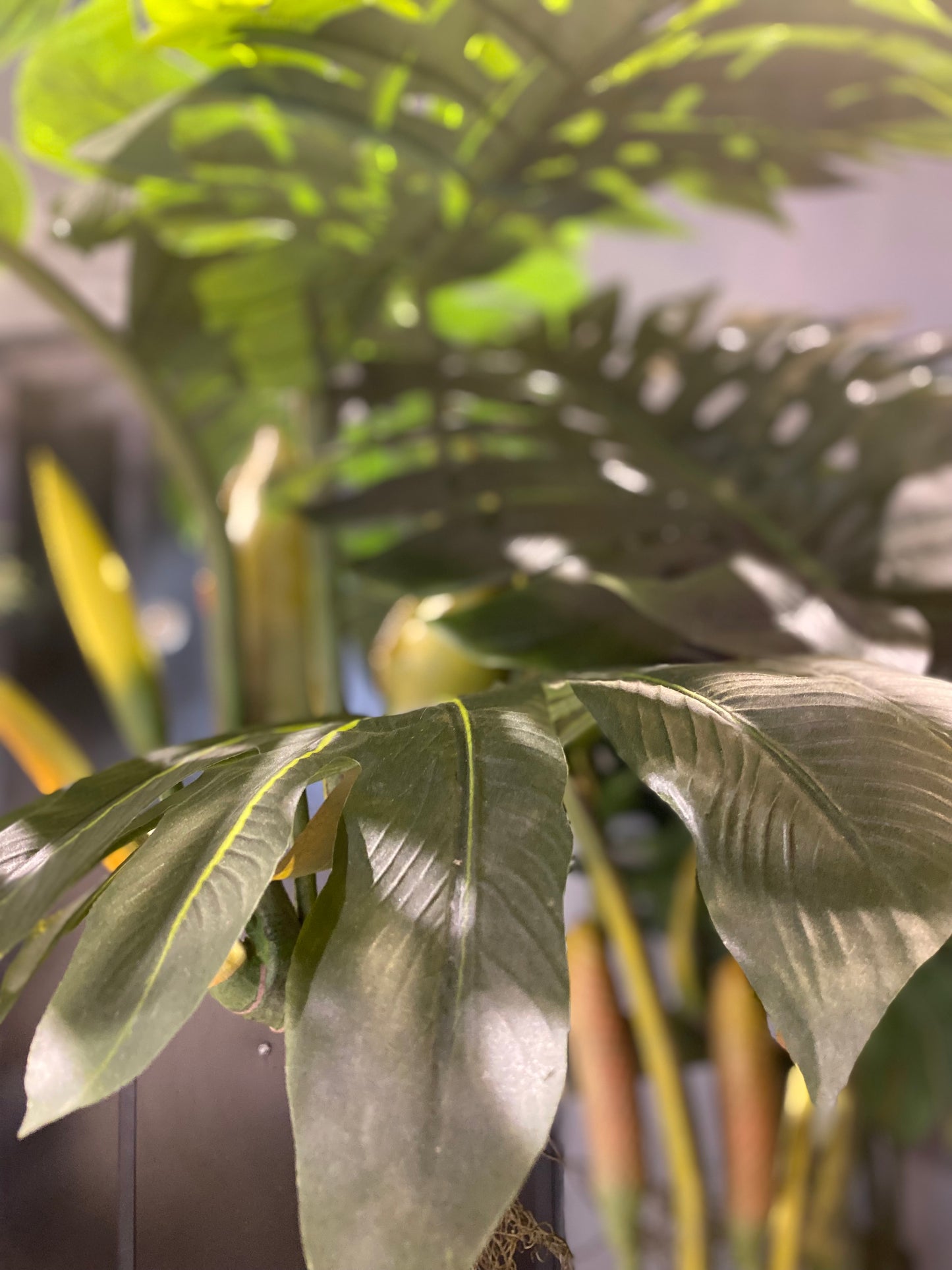 Artificial Giant Monstera Tree in Black Vase