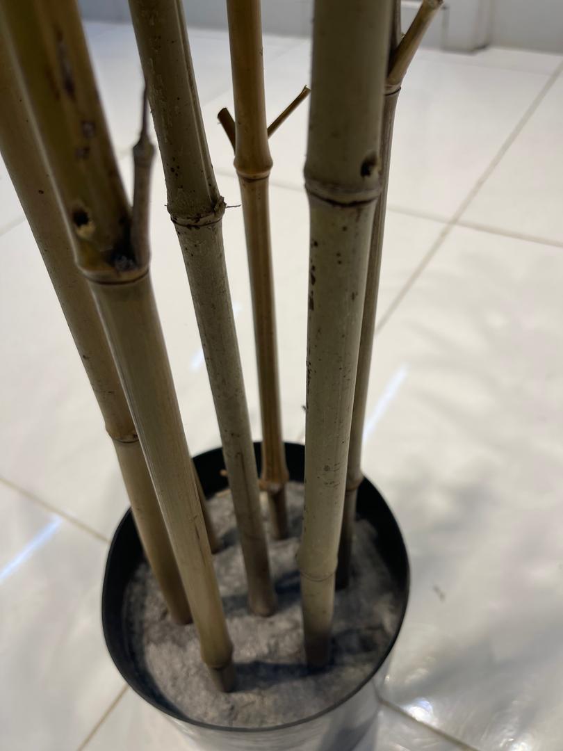 Artificial Bamboo Plant in Pot (160cm)
