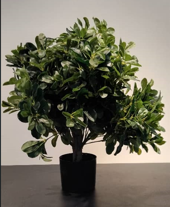 Artificial Bay Tree (Ball lush)