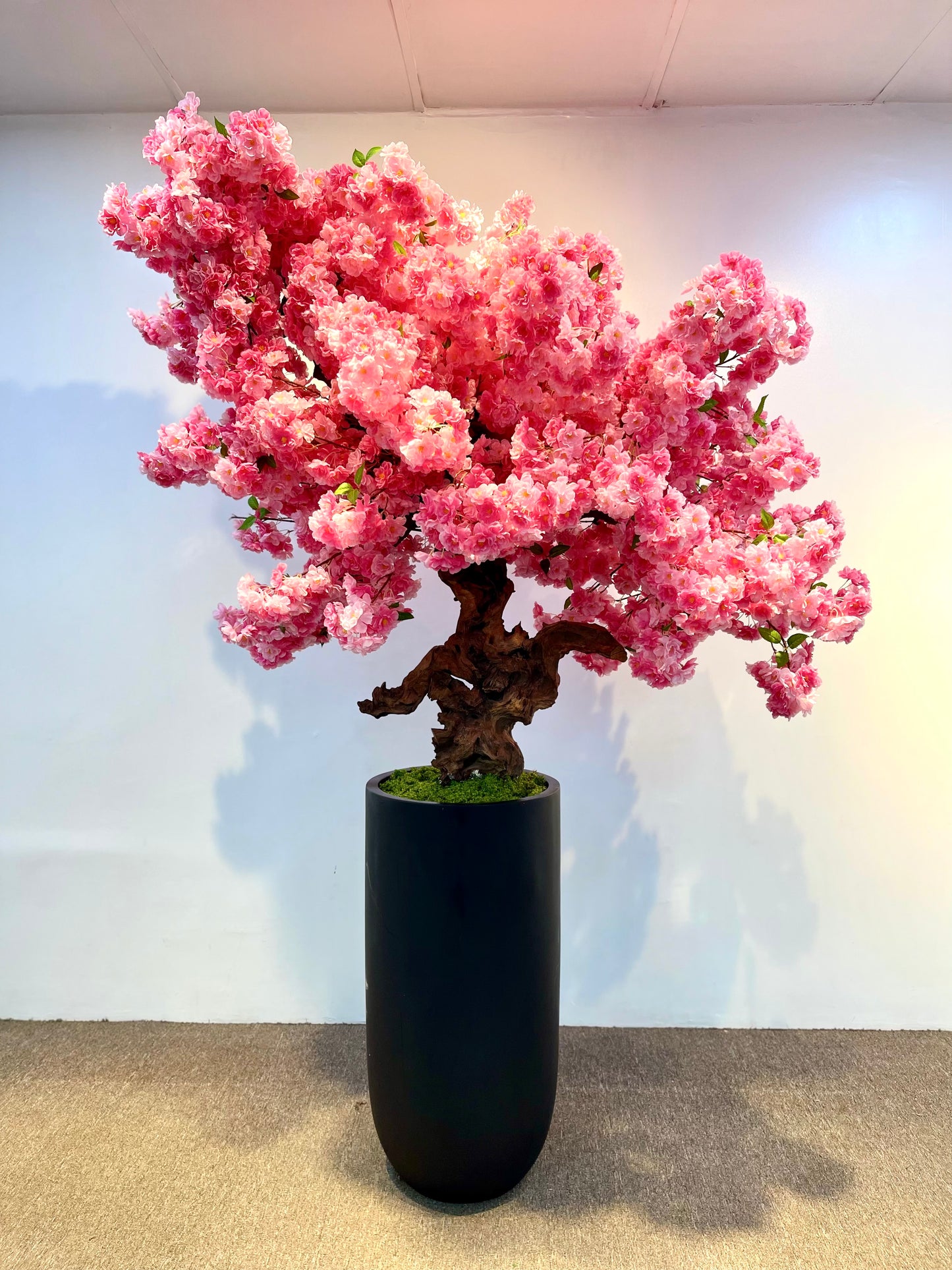 Luxurious 240cm Artificial Pink Cherry Blossom Tree in Modern Black Planter