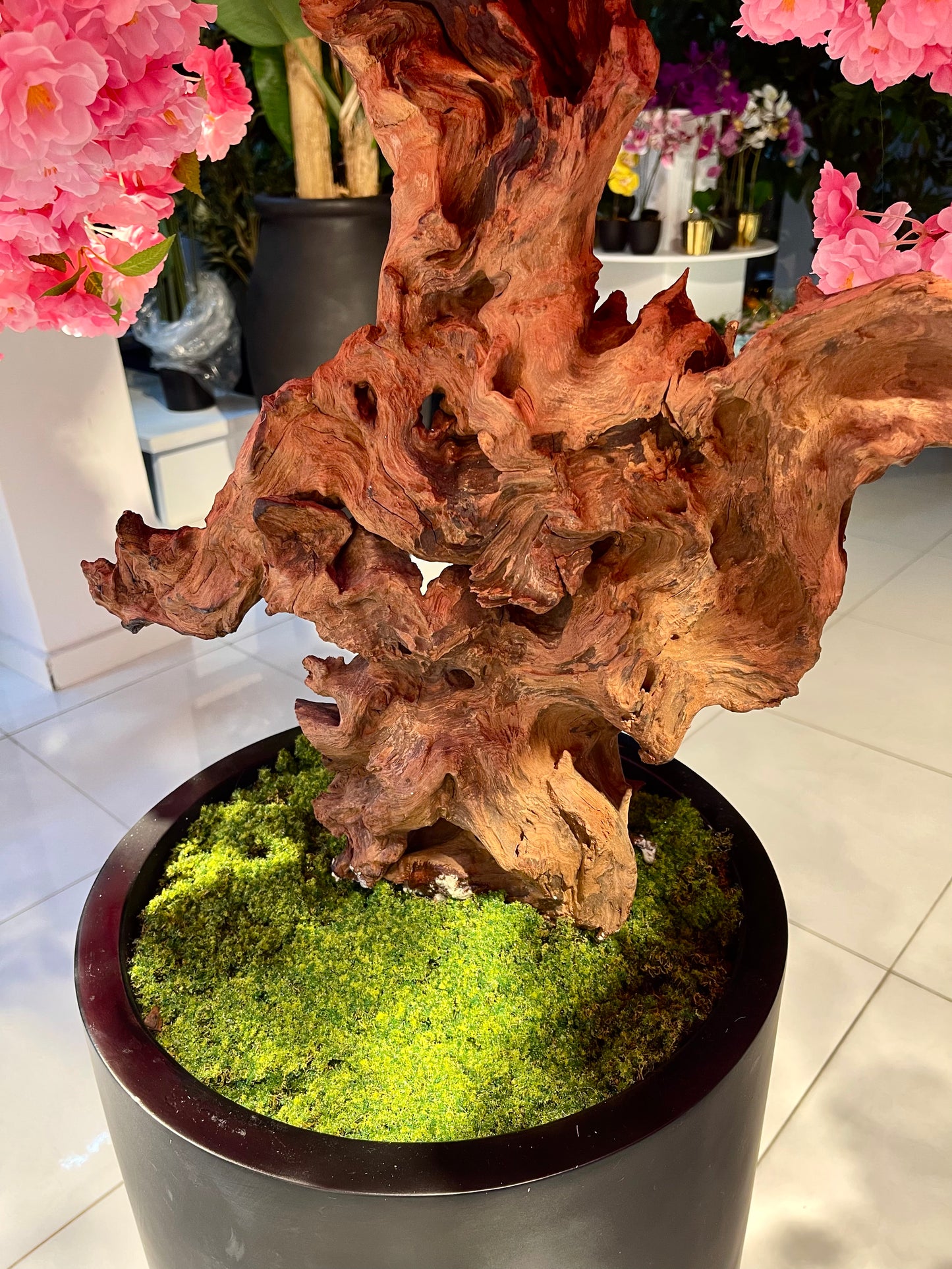 Luxurious 240cm Artificial Pink Cherry Blossom Tree in Modern Black Planter