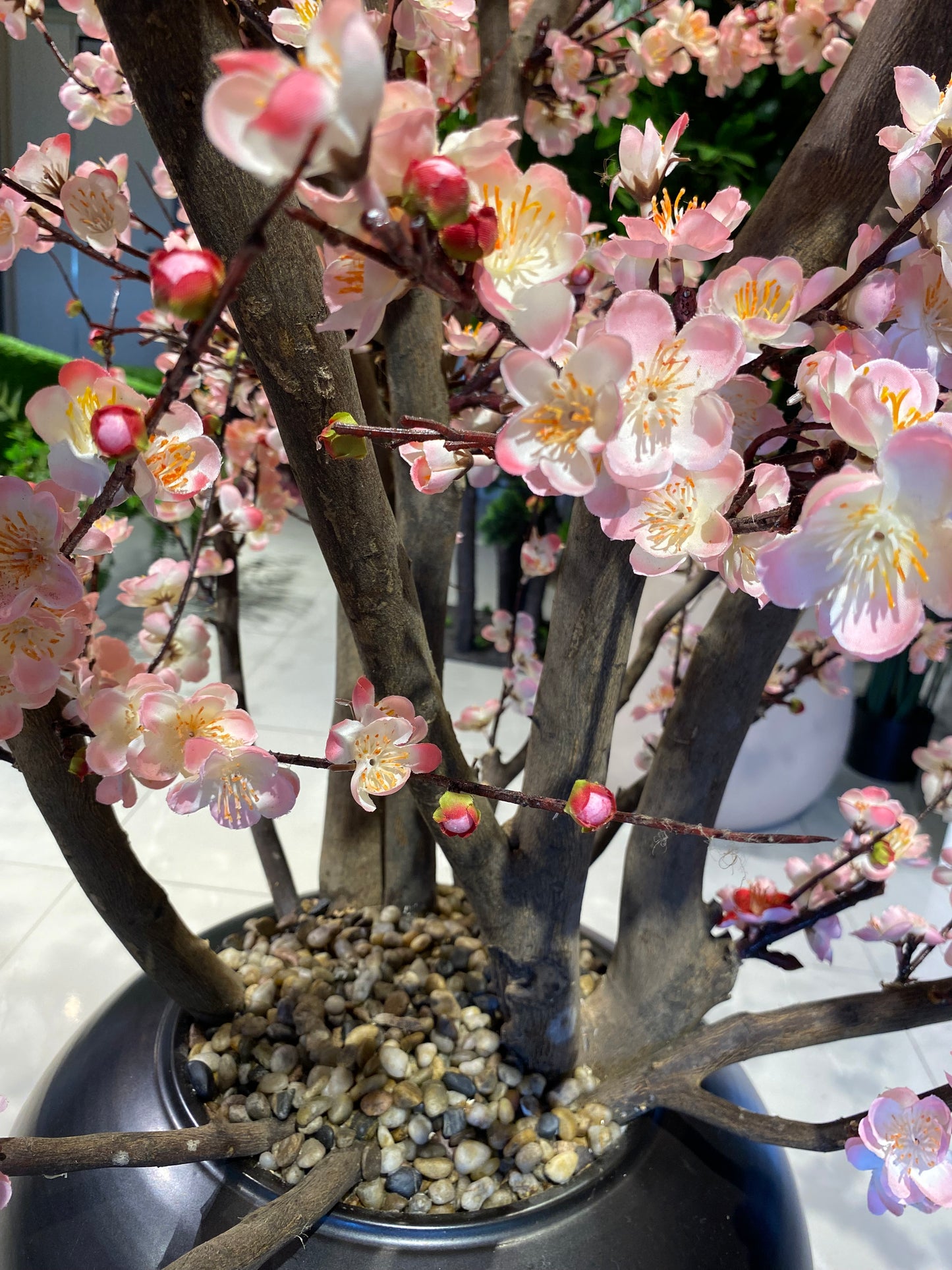 Luxury Artificial Blush~Pink Cherry Blossom Tree In Black Vase