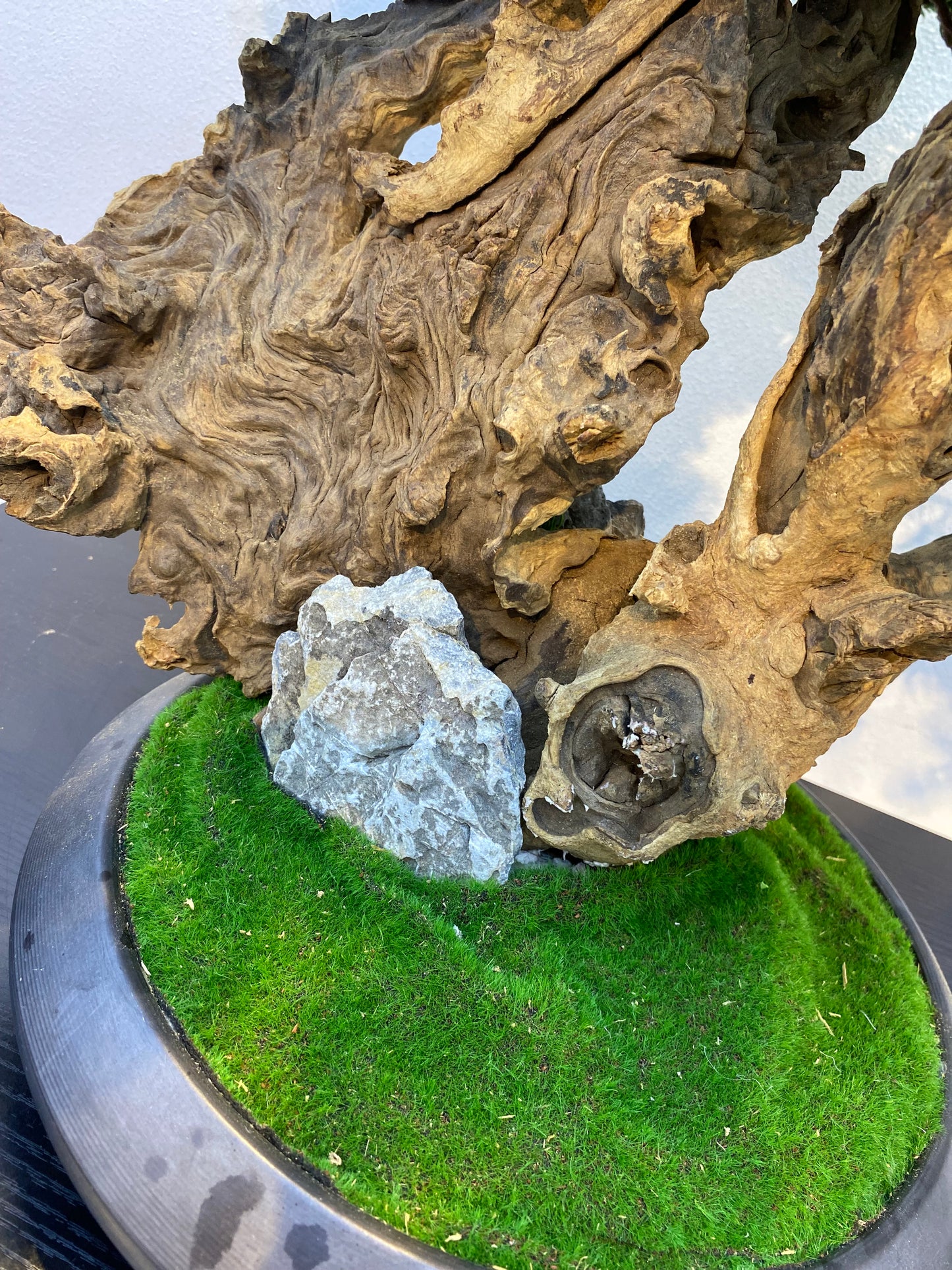 80cm Artificial Bonsai Pine Tree In Driftwood Pot