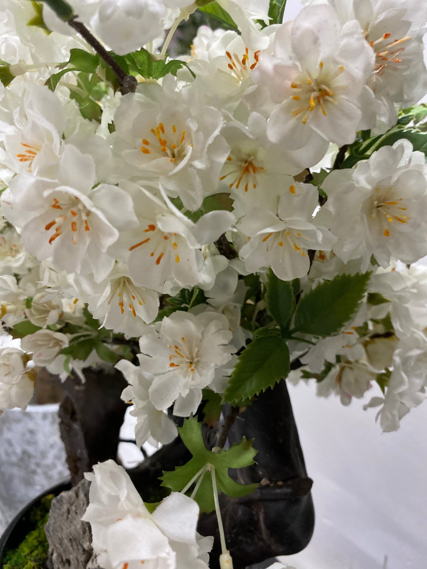 60cm White Cherry Blossom Artificial tree