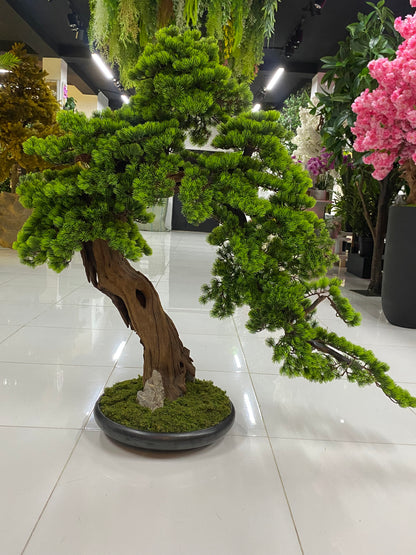 Artificial Tranquil Evergreen Bonsai Tree 130cm