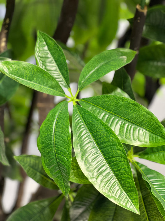 Artificial Money Tree