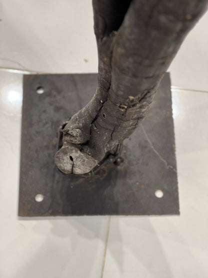 Artificial Money Tree