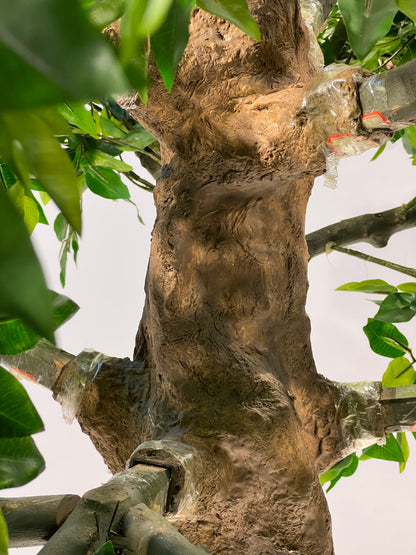 Artificial Ficus Tree 260cm