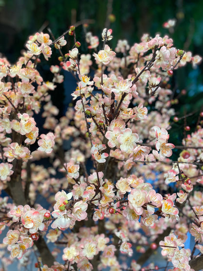 Luxury Artificial Blush~Pink Cherry Blossom Tree In Black Vase