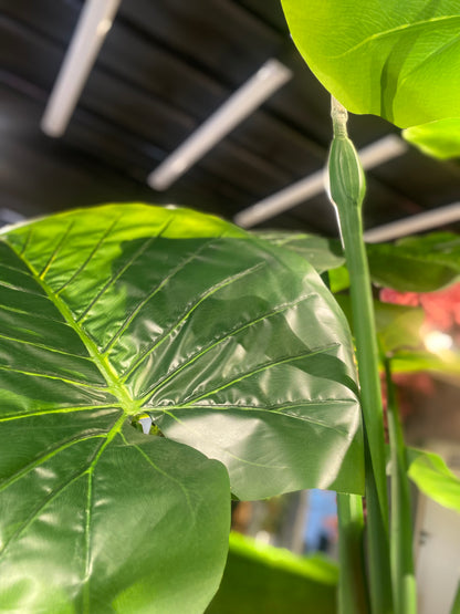 Artificial Tropical Leaf Tree  210cm