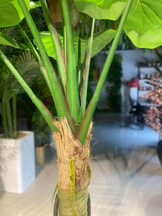 Artificial Tropical Leaf Tree  210cm
