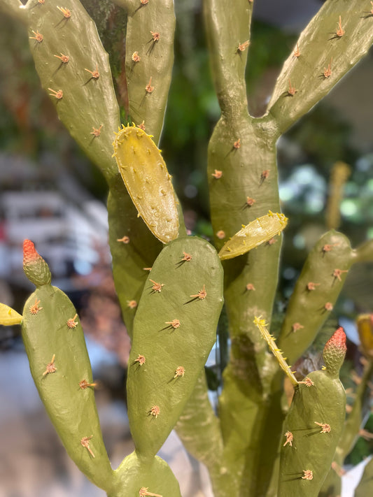 Artificial Twin Cactus Plant In Concrete Vase 200cm