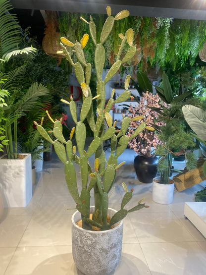 Artificial Twin Cactus Plant In Concrete Vase 200cm