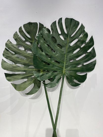 Bold Artificial Monstera Leaf Stem