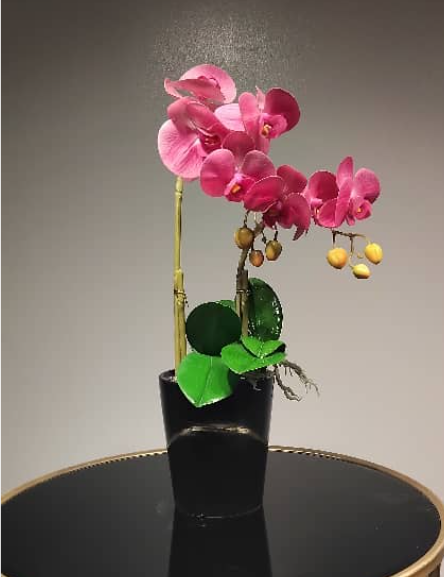Orchid Stem with Black Vase