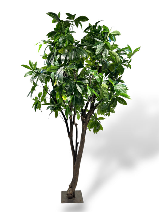 Artificial Money Tree