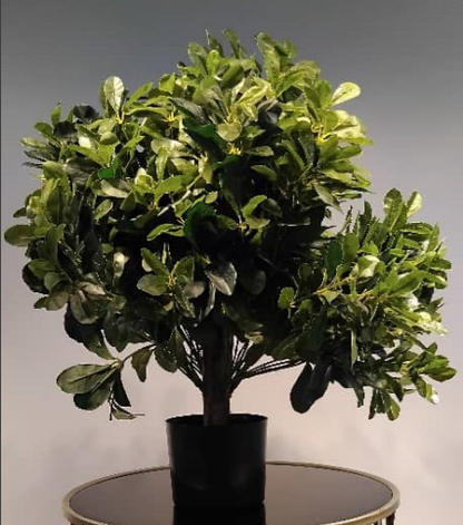 Artificial Bay Tree (Ball lush)