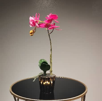 Orchid Stem with Golden vase