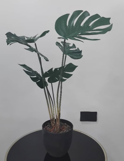 artificial potted Monstera plant